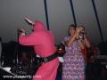 Reportage photo fête a Dalhem le samedi — photo 269