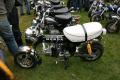 reportage photos du we dax team a VISE. — photo 25