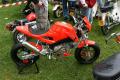 reportage photos du we dax team a VISE. — photo 31