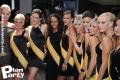 Le Pool Fiction accueille les Miss Province de Liege — photo 51