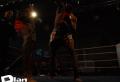 prestige muay thai — photo 16
