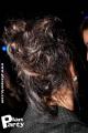 Nice To Meet You Saint Valentin @ Palais des congrès — photo 409