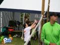 Reportage photos du beach volley à Emael — photo 152
