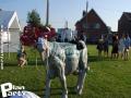 fete 2O11 samedi a oupeye — photo 99