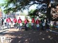 reportage photos des anciens combattants, suivis du corso fleuris. — photo 22