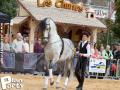 Feria Andalucia au chateau a Oupeye — photo 23