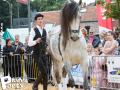 Feria Andalucia au chateau a Oupeye — photo 25