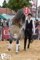 Feria Andalucia au chateau a Oupeye — photo 28