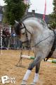 Feria Andalucia au chateau a Oupeye — photo 29
