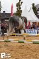 Feria Andalucia au chateau a Oupeye — photo 32