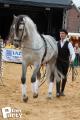Feria Andalucia au chateau a Oupeye — photo 35