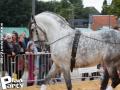 Feria Andalucia au chateau a Oupeye — photo 38