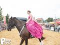 Feria Andalucia au chateau a Oupeye — photo 42