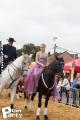 Feria Andalucia au chateau a Oupeye — photo 46
