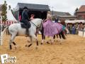 Feria Andalucia au chateau a Oupeye — photo 51