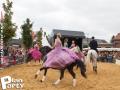 Feria Andalucia au chateau a Oupeye — photo 55