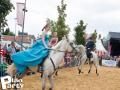 Feria Andalucia au chateau a Oupeye — photo 57