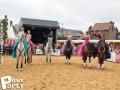 Feria Andalucia au chateau a Oupeye — photo 59