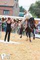 Feria Andalucia au chateau a Oupeye — photo 69