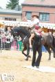 Feria Andalucia au chateau a Oupeye — photo 71