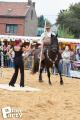Feria Andalucia au chateau a Oupeye — photo 72