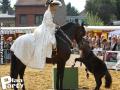 Feria Andalucia au chateau a Oupeye — photo 218