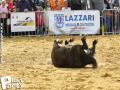 Feria Andalucia au chateau a Oupeye — photo 219