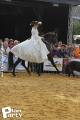 Feria Andalucia au chateau a Oupeye — photo 222