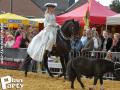 Feria Andalucia au chateau a Oupeye — photo 224