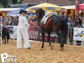 Feria Andalucia au chateau a Oupeye — photo 225
