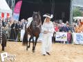 Feria Andalucia au chateau a Oupeye — photo 226