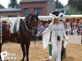Feria Andalucia au chateau a Oupeye — photo 227
