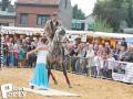 Feria Andalucia au chateau a Oupeye — photo 239