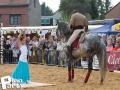 Feria Andalucia au chateau a Oupeye — photo 244