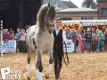 Feria Andalucia au chateau a Oupeye — photo 258
