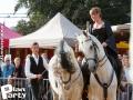 Feria Andalucia au chateau a Oupeye — photo 269