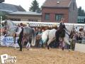 Feria Andalucia au chateau a Oupeye — photo 270