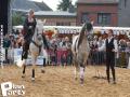 Feria Andalucia au chateau a Oupeye — photo 273