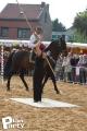 Feria Andalucia au chateau a Oupeye — photo 276