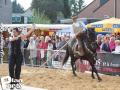 Feria Andalucia au chateau a Oupeye — photo 285