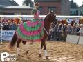 Feria Andalucia au chateau a Oupeye — photo 288