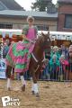 Feria Andalucia au chateau a Oupeye — photo 295
