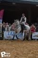 Feria Andalucia au chateau a Oupeye — photo 299
