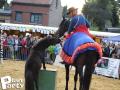 Feria Andalucia au chateau a Oupeye — photo 378