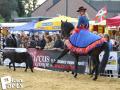 Feria Andalucia au chateau a Oupeye — photo 381