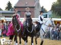 Feria Andalucia au chateau a Oupeye — photo 399