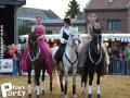 Feria Andalucia au chateau a Oupeye — photo 400
