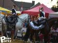 Feria Andalucia au chateau a Oupeye — photo 421