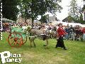 reportage de la fête de la Myrtille à Vielsam — photo 20