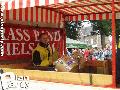 reportage de la fête de la Myrtille à Vielsam — photo 25